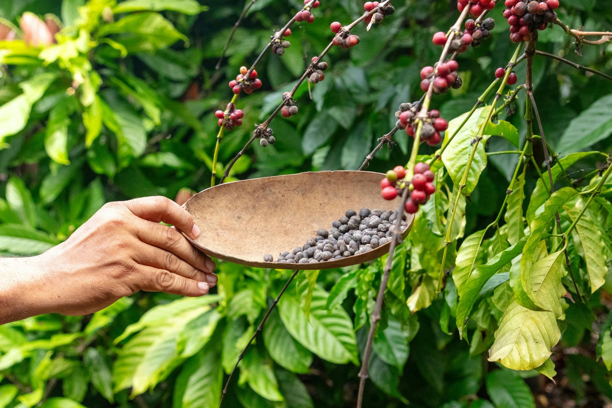 Full-day tour of Higuey with local lunch in a family home