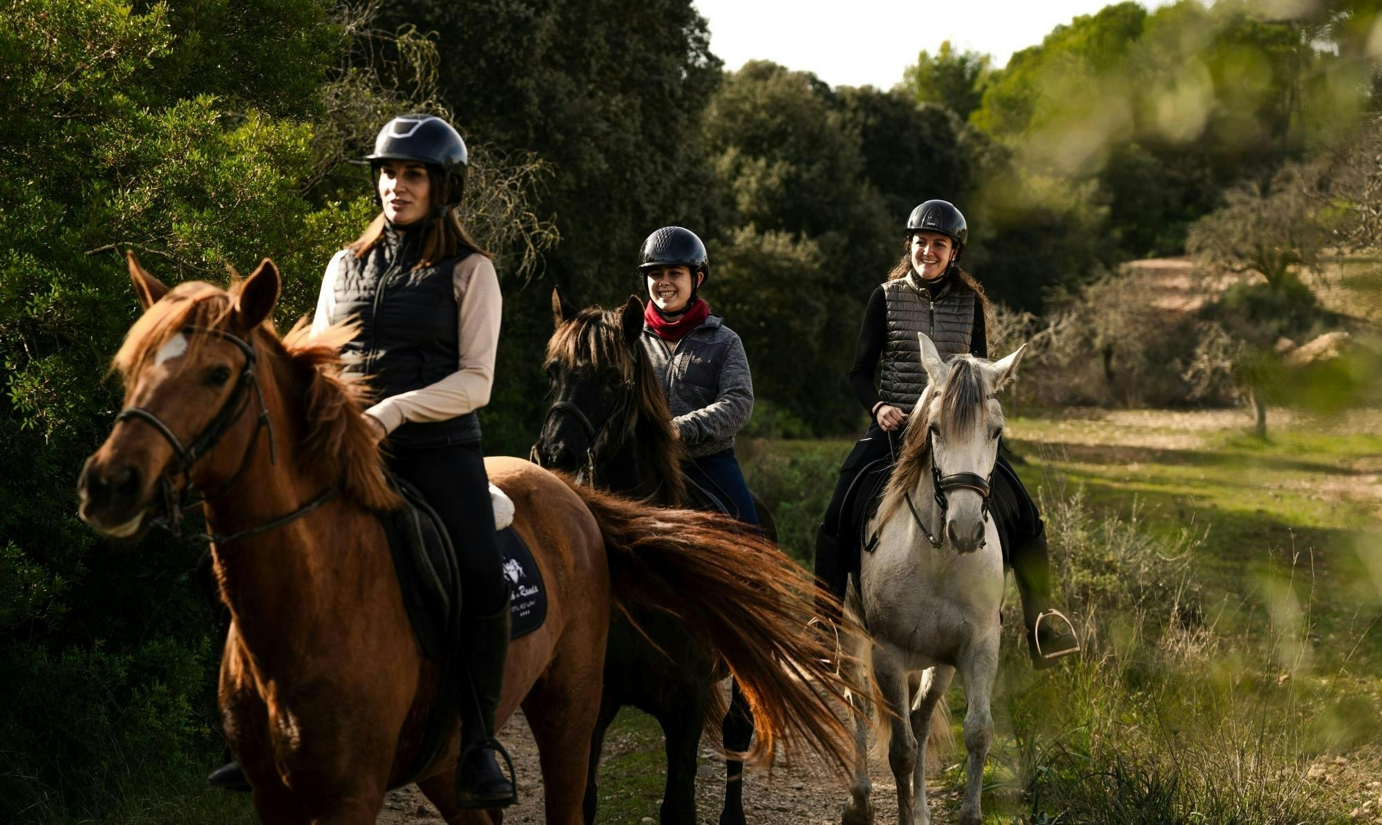 Dinámica aventura a caballo por la Mallorca rural