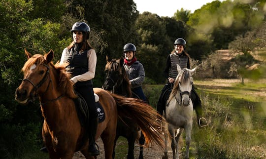 Dinámica aventura a caballo por la Mallorca rural