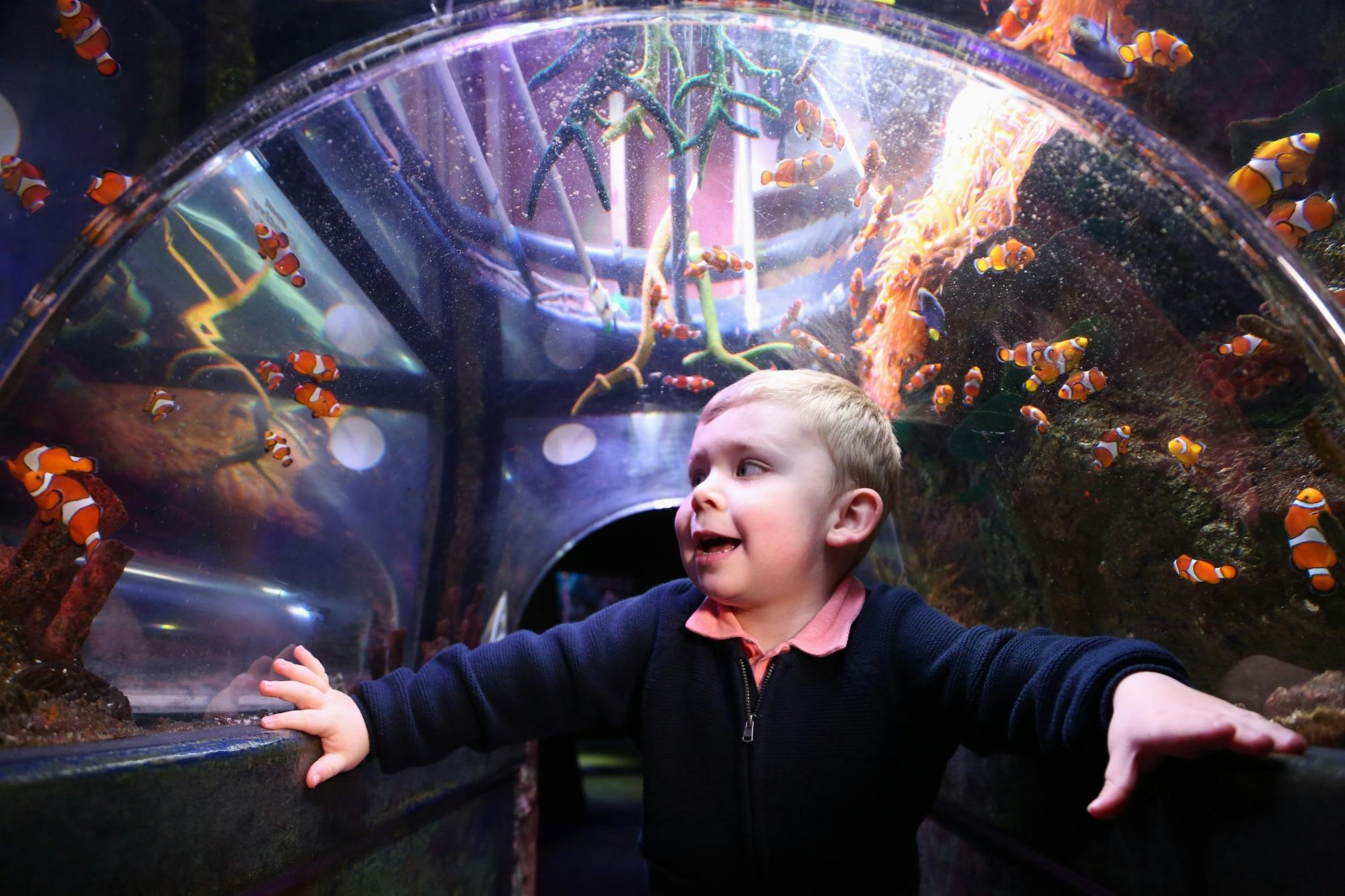 SEA LIFE Manchester entrance tickets