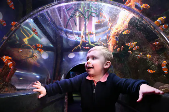SEA LIFE Manchester entrance tickets