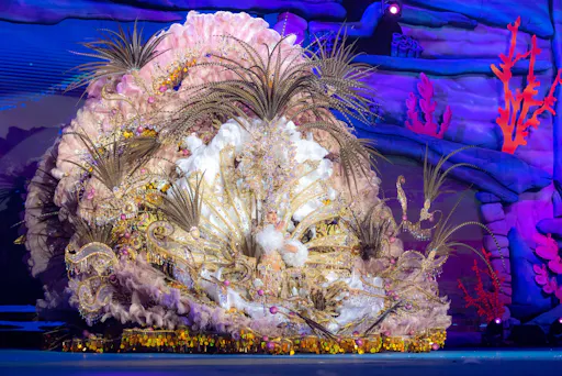 Transfer to Tenerife Carnival – 17/02/2026