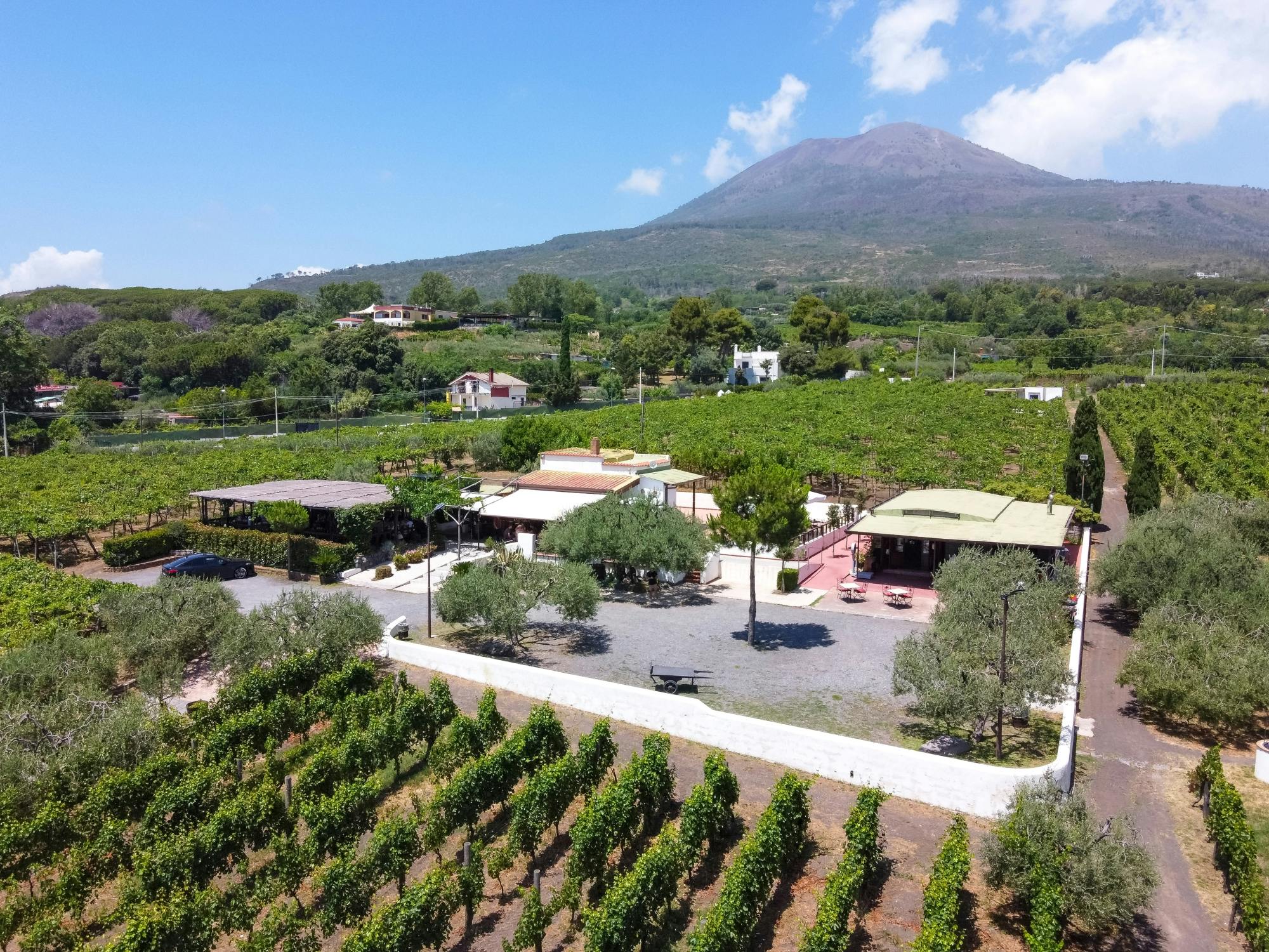 Mount Vesuvius crater tour with authentic lunch at a vineyard