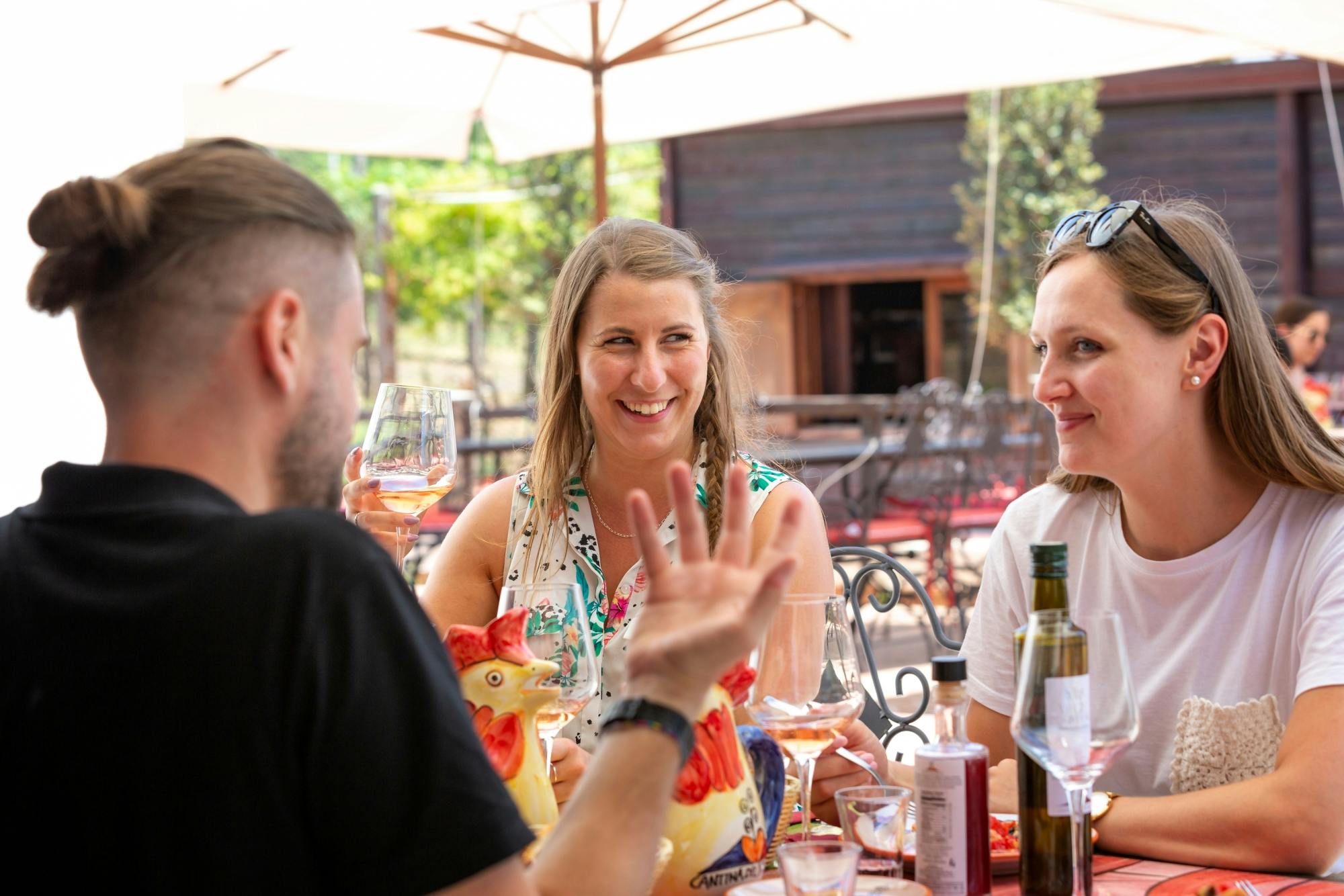 Mount Vesuvius crater tour with authentic lunch at a vineyard