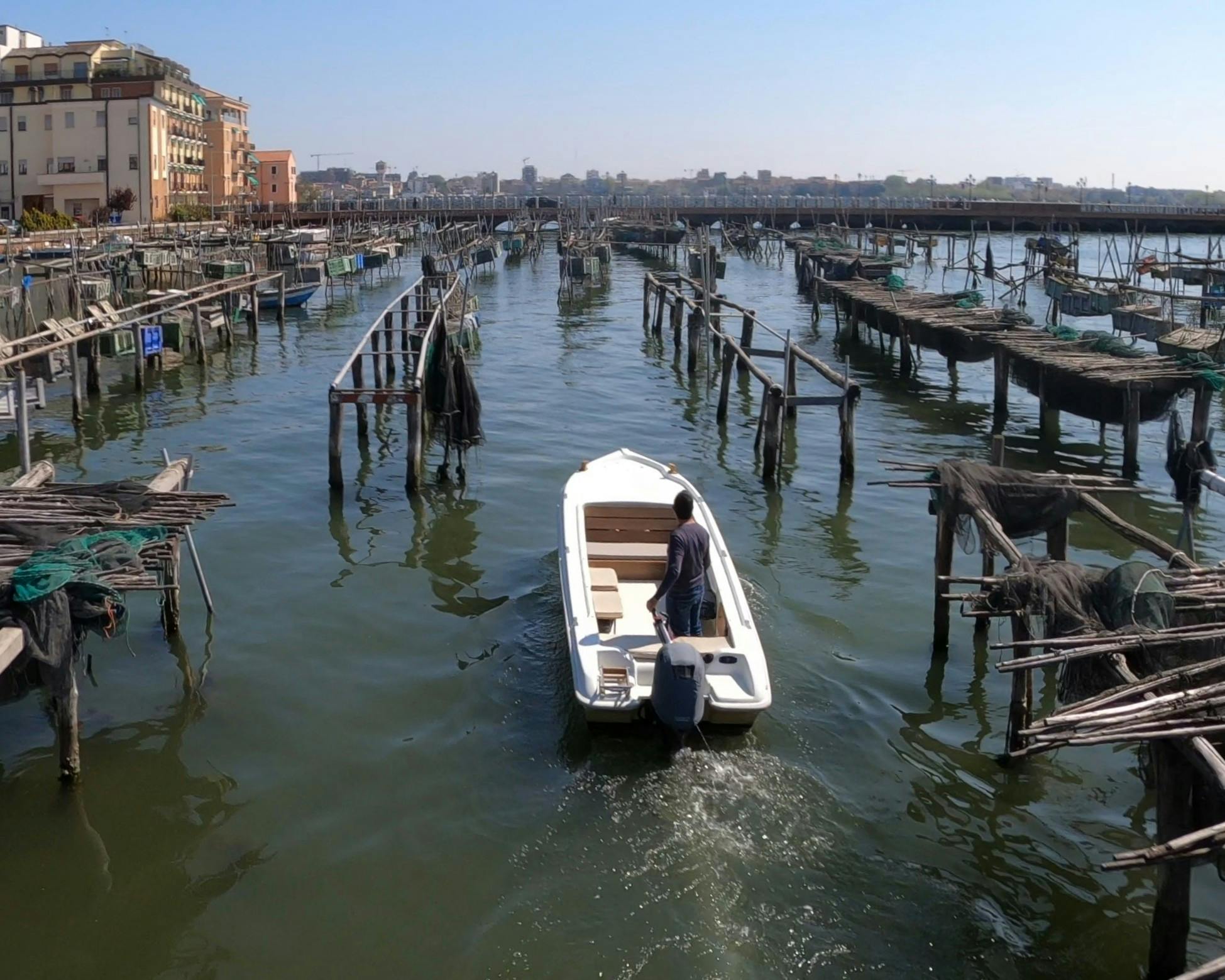 Sustainable Aquaculture Boat Tour in Chioggia's Lagoon