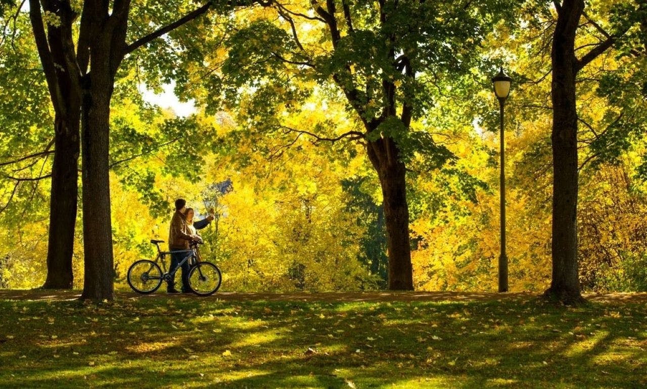 Highlights of Oslo guided bike tour