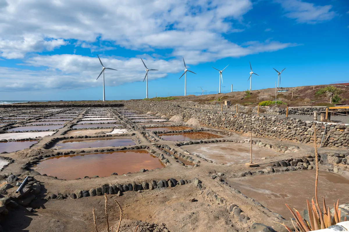 Gran Canaria food tour with distillery visit and tastings