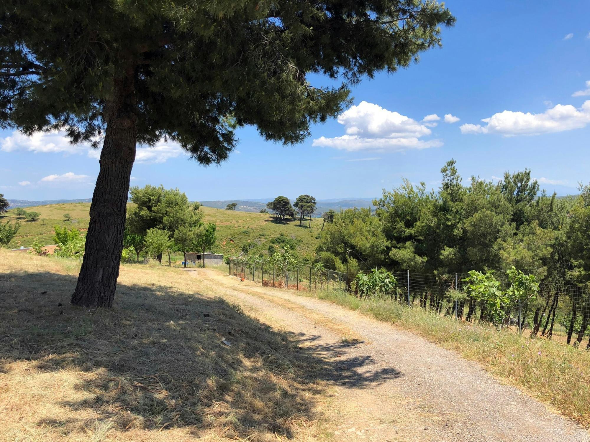 Full-day 4x4 adventure from Athens with traditional Greek lunch