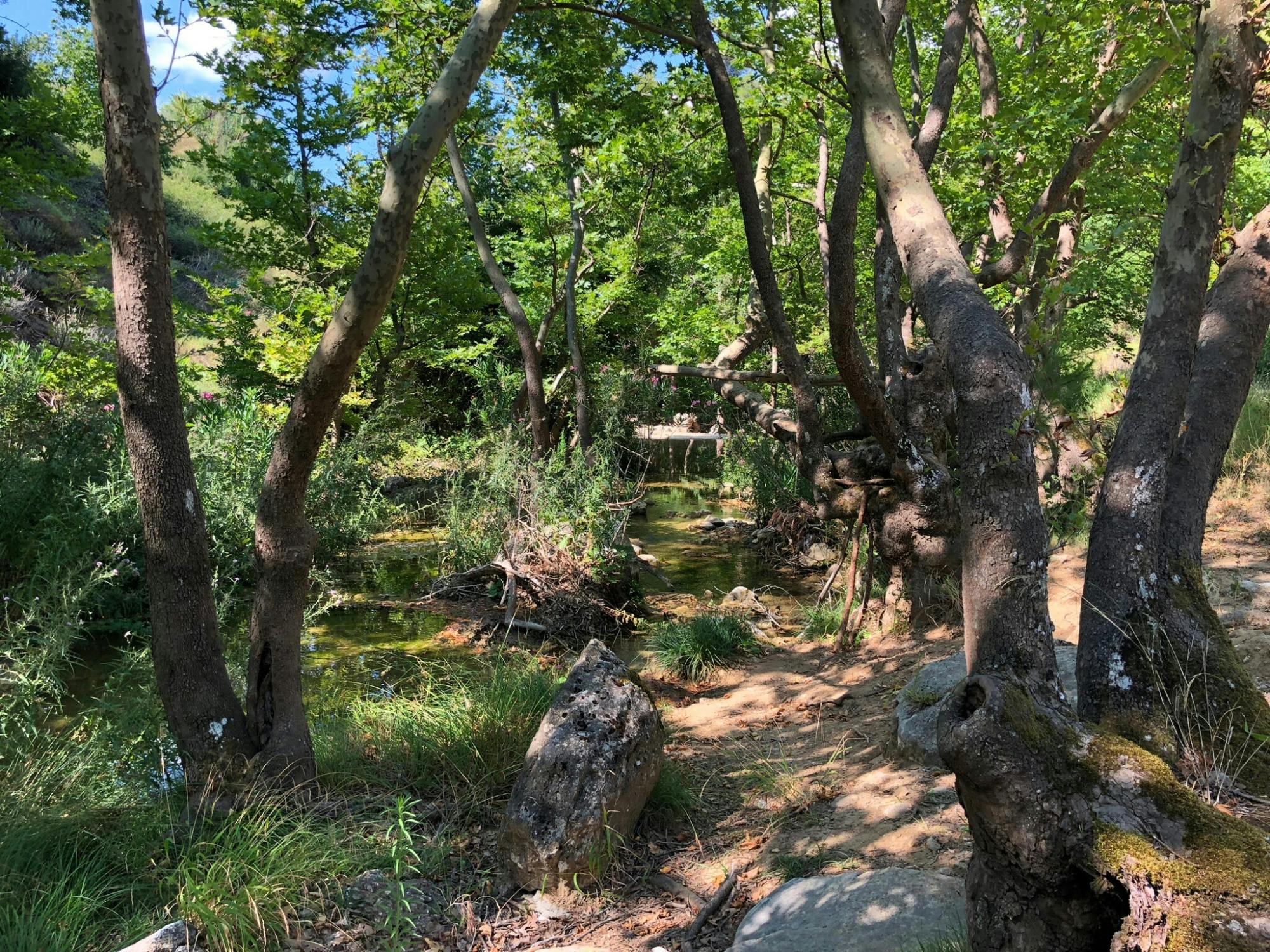 Full-day 4x4 adventure from Athens with traditional Greek lunch