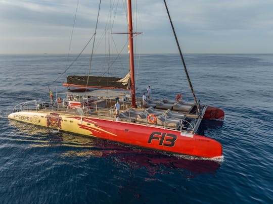 Freebird two-hour sailing experience