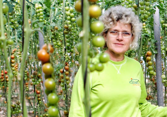 Wycieczka do szklarni, zamku i przystani jachtowej w Almerii