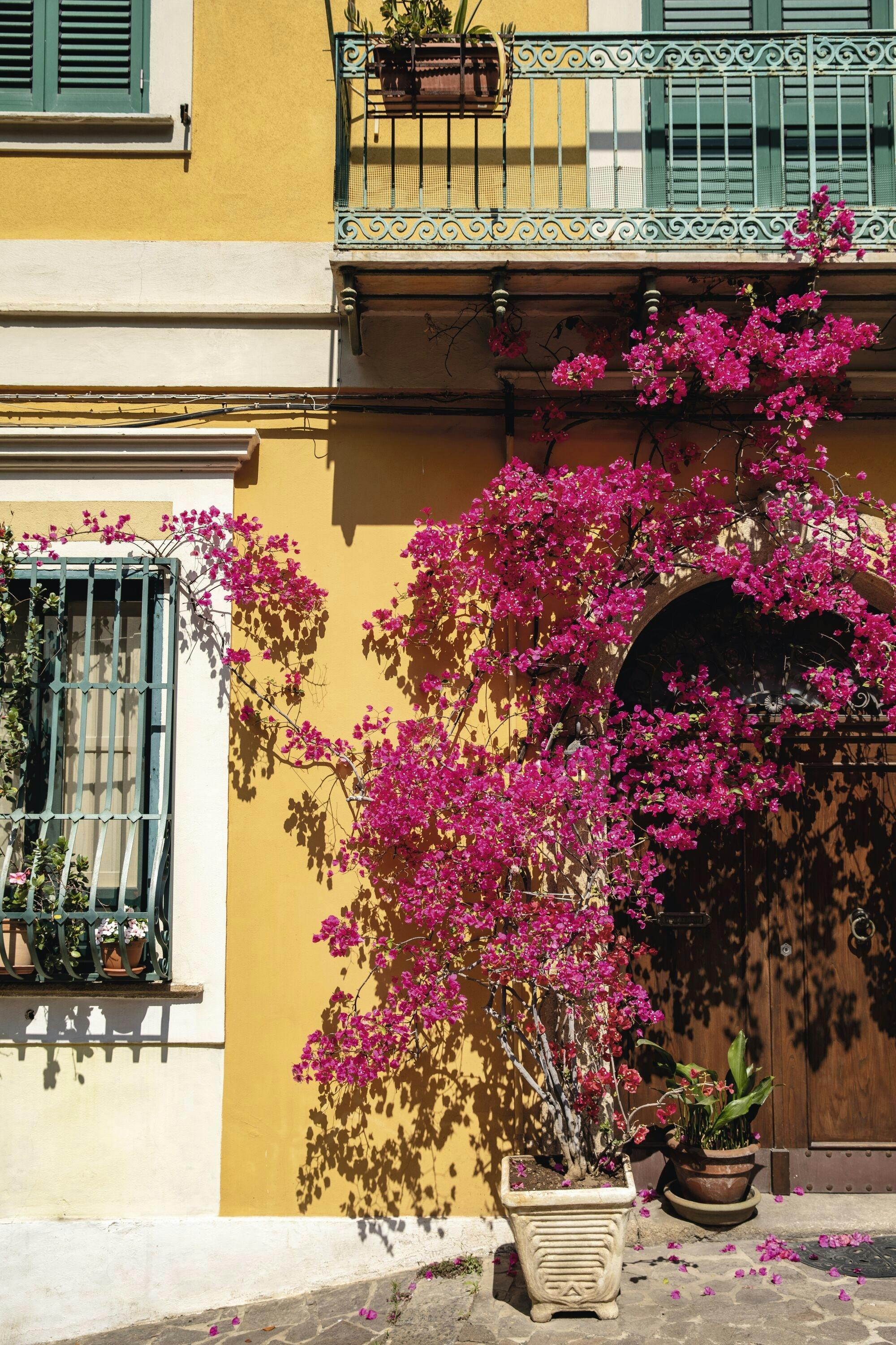 Pizzo half-day tour from Tropea with tartufo truffle tasting