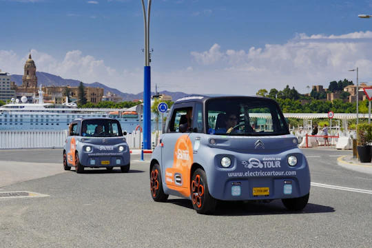 Malaga electric car night tour
