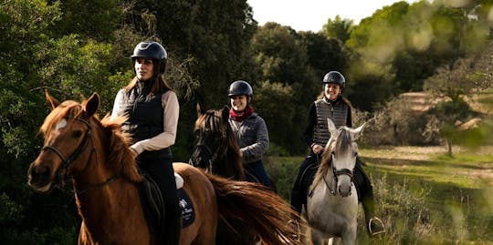 Dynamic horseback adventure through rural Mallorca