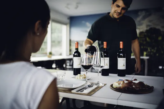Tour e degustazione di vini in un'azienda vinicola biologica a conduzione familiare in Toscana