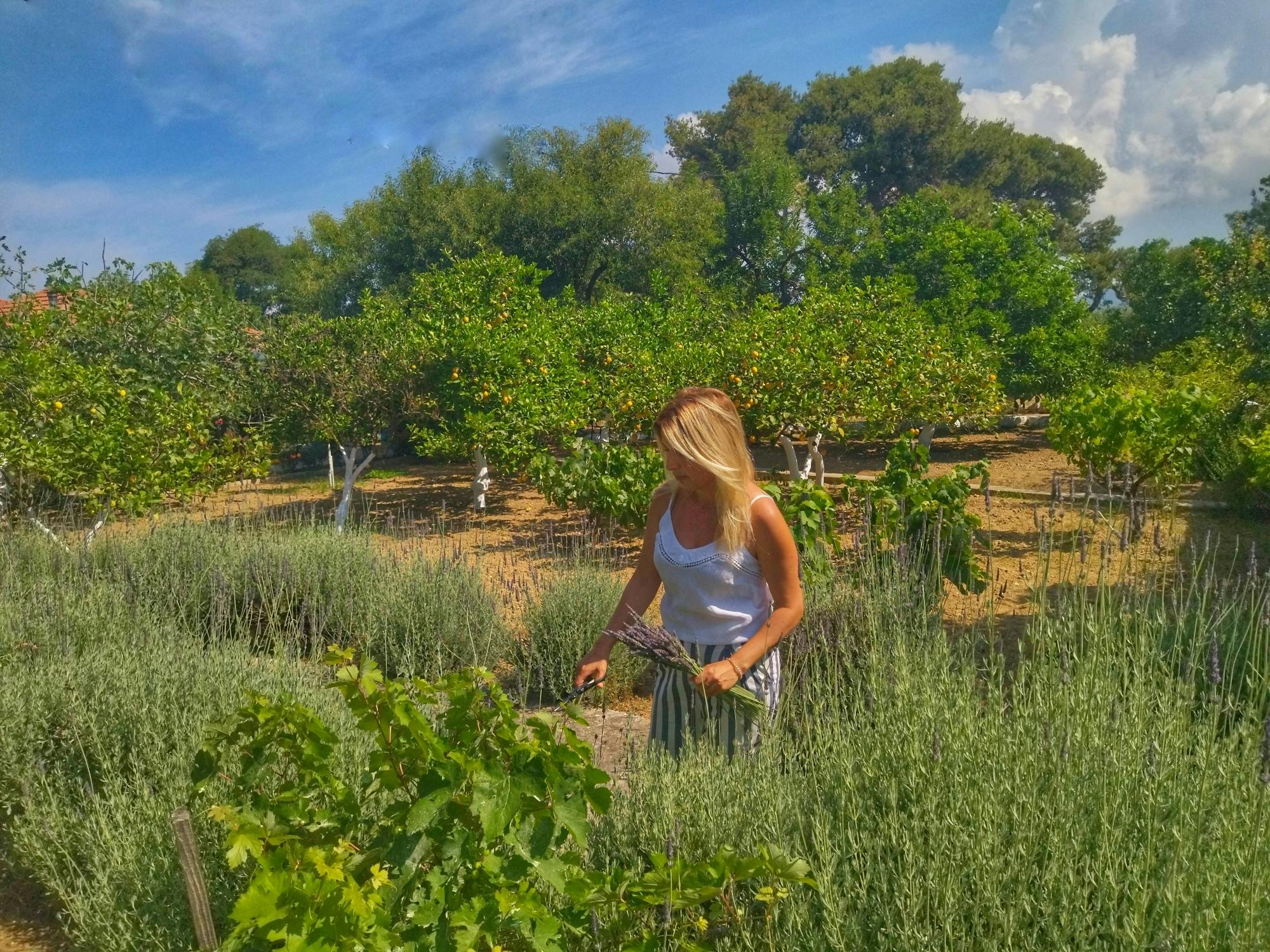 En Kefallinia organic farm and restaurant visit