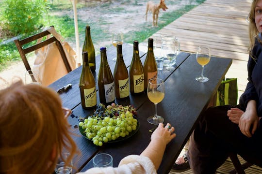 Führung durch einen Bio-Weinberg mit Verkostung in der Region Vinhos Verdes