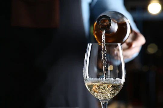 Natural and organic five-wine tasting experience