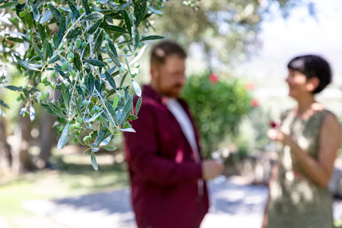 Wine and lunch platter at Ktima Akrani vineyard in Kos