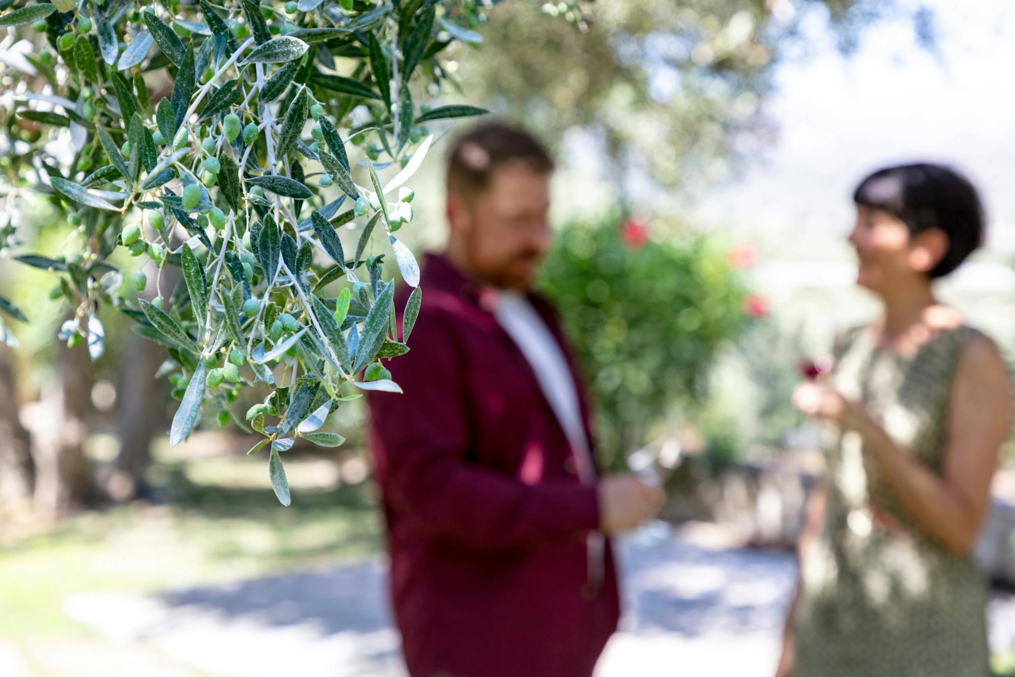 Wine and lunch platter at Ktima Akrani vineyard in Kos