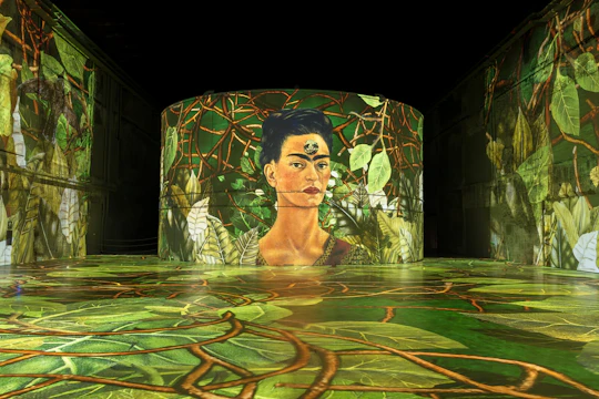 Matisse and Frida Kahlo immersive exhibition at Bassins des Lumières