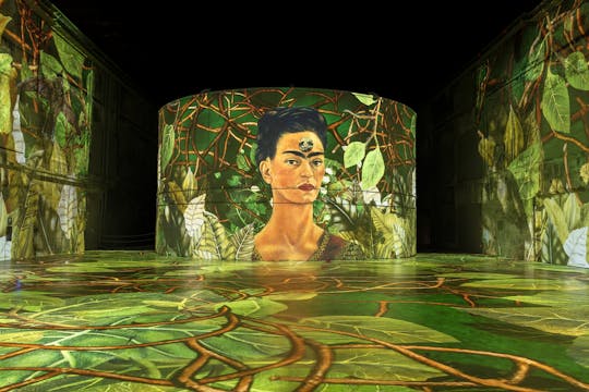 Matisse and Frida Kahlo immersive exhibition at Bassins des Lumières