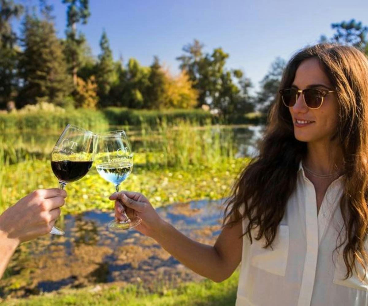 Tour delle cantine premium da Santiago con degustazione di vini