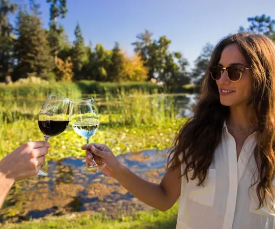 Excursión a bodega premium desde Santiago con cata de vinos