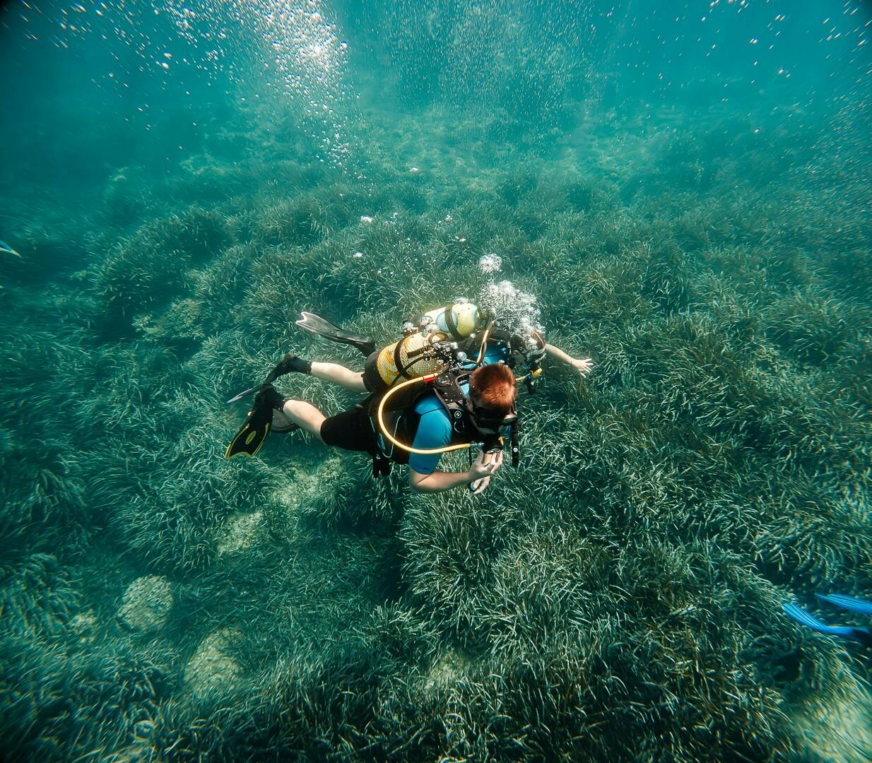 Eco Island Adventure Scuba Diving Courses in Majorca