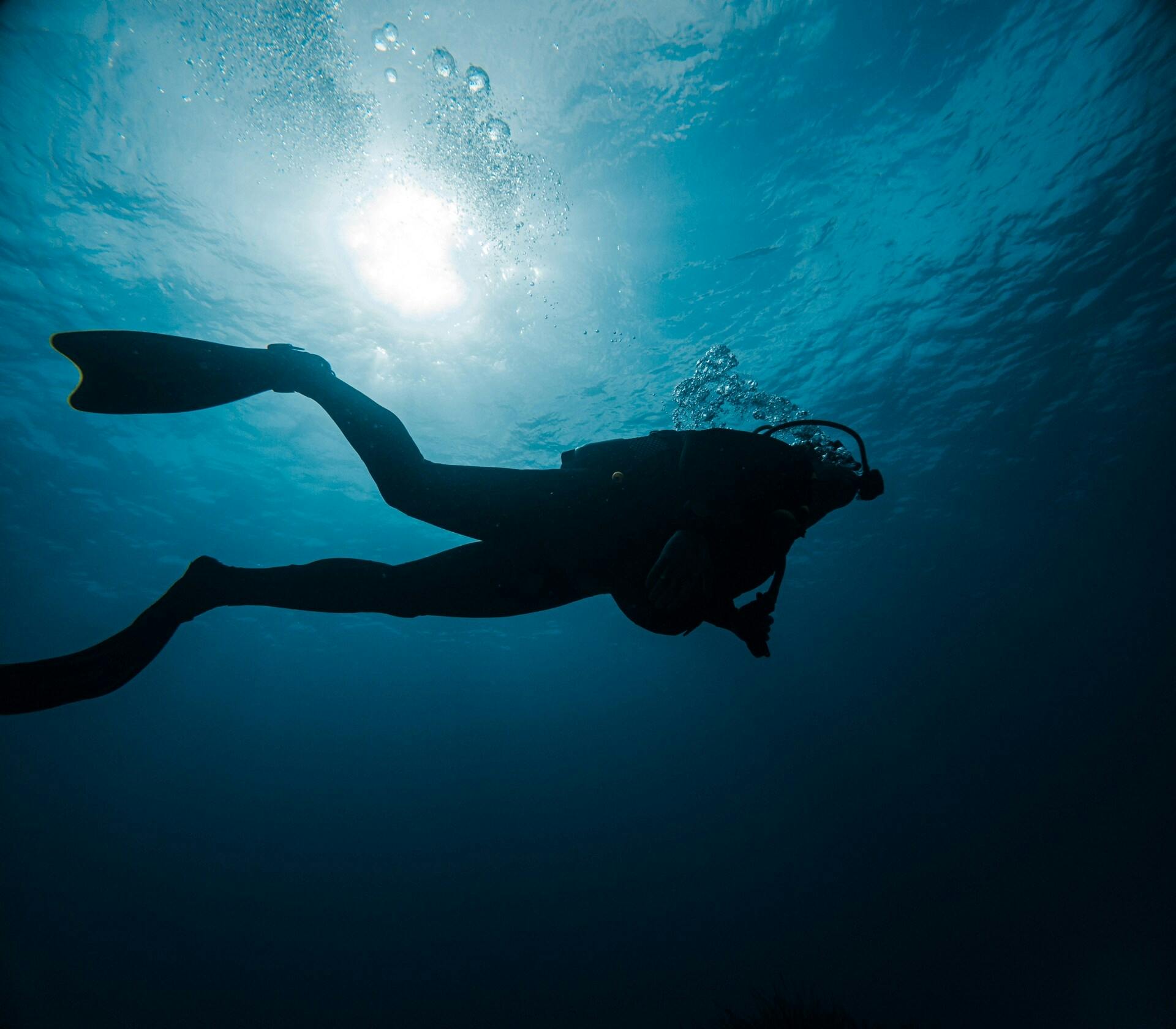 Eco Island Adventure Scuba Diving Courses in Majorca