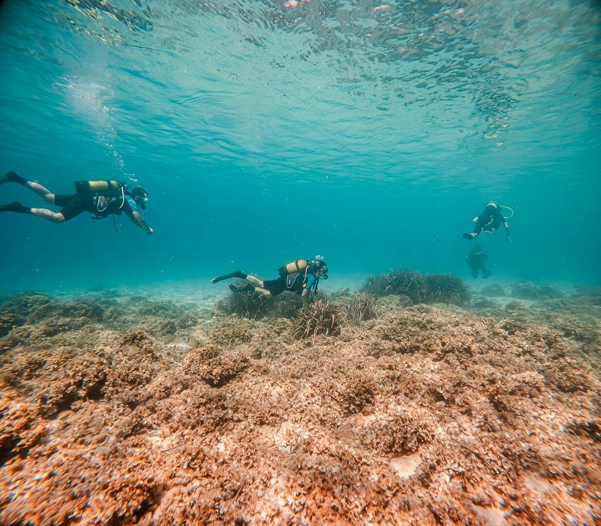 Eco Island Adventure Scuba Diving Courses in Majorca