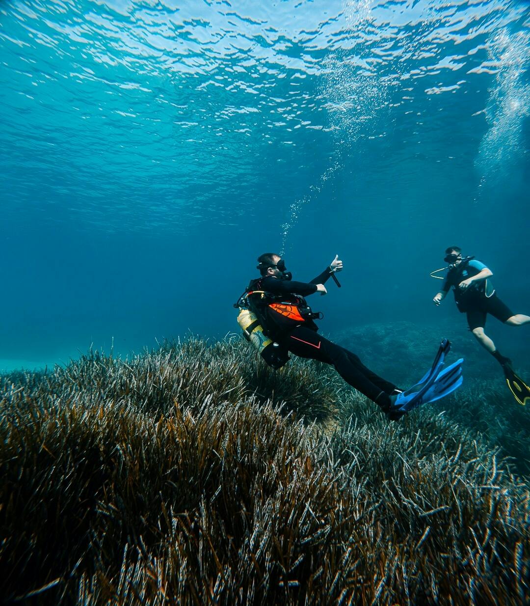 Eco Island Adventure Scuba Diving Courses in Majorca