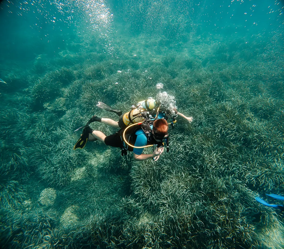 Eco Island Adventure Scuba Diving Courses in Majorca