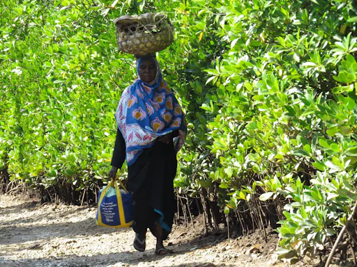 Zanzibar Uzi Island and Jozani Forest private tour