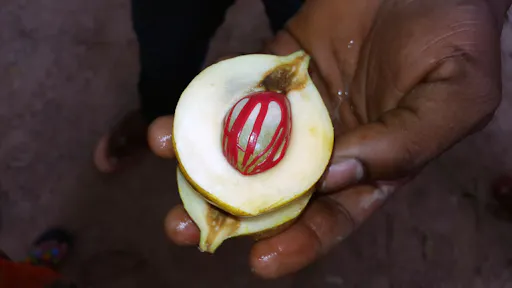 Zanzibar historic Stone Town and spice farm private tour