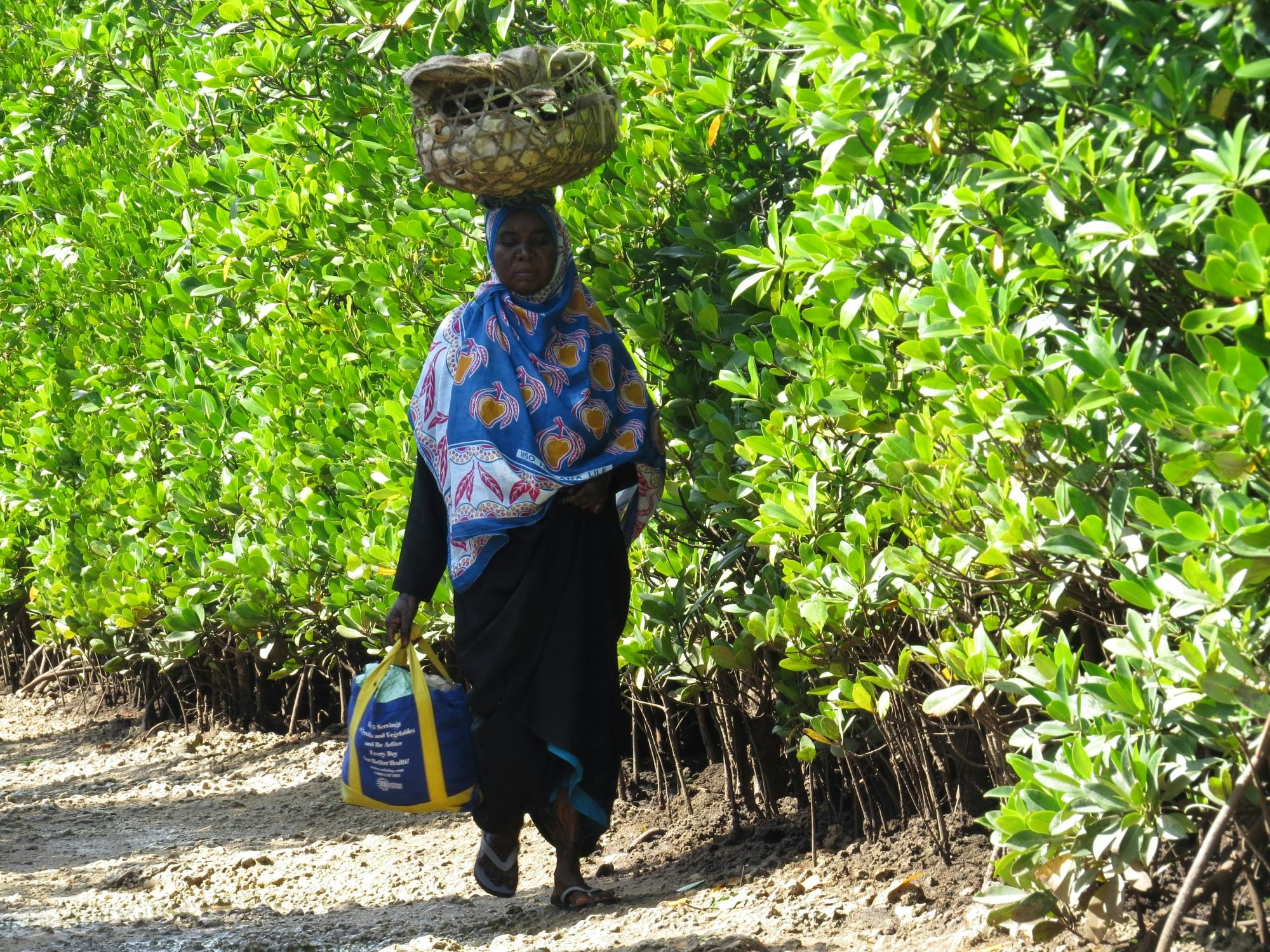 Zanzibar Uzi Island and Jozani Forest private tour