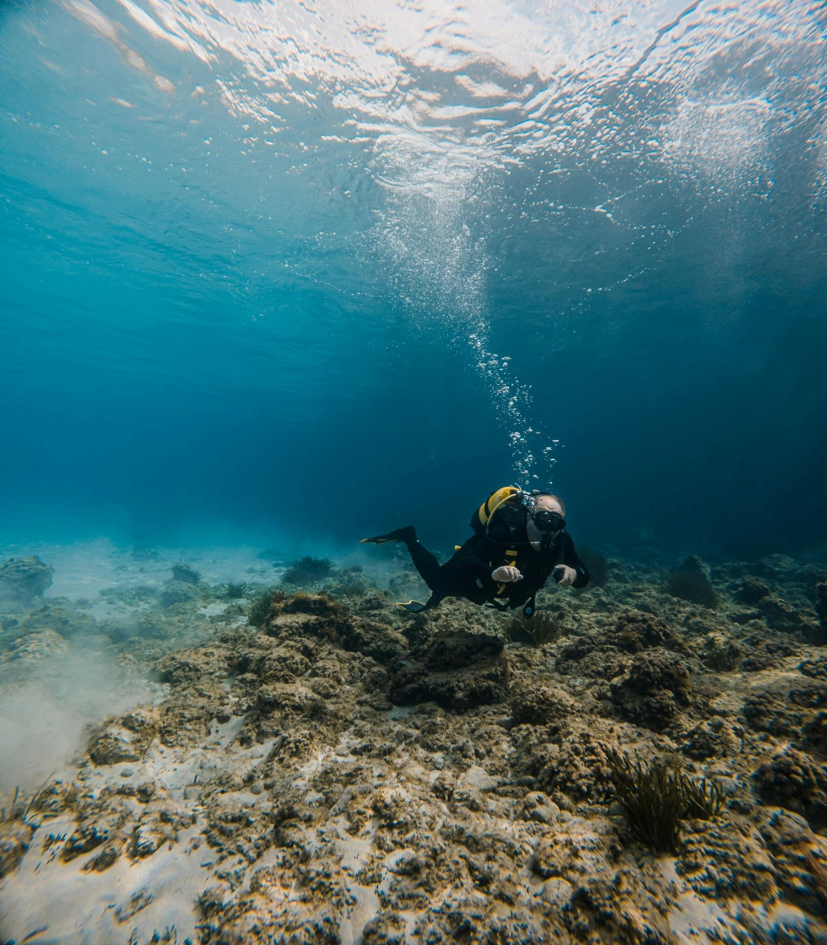 Eco Island Adventure Scuba Diving Courses in Majorca