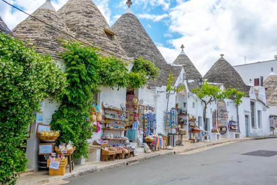 Wizyta z przewodnikiem w Alberobello z Polignano a Mare z transferem
