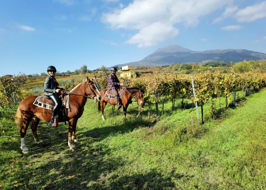 Mount Vesuvius horseback riding adventure