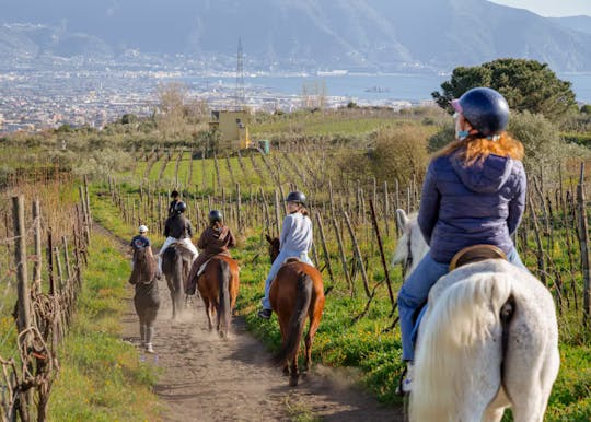 Passeggiata a cavallo sul Vesuvio con degustazione di vini e pranzo