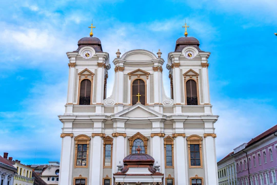 Timisoara best intro walking tour with a local