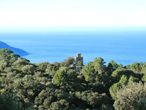 Bedebe Tours Tramuntana Hidden Places