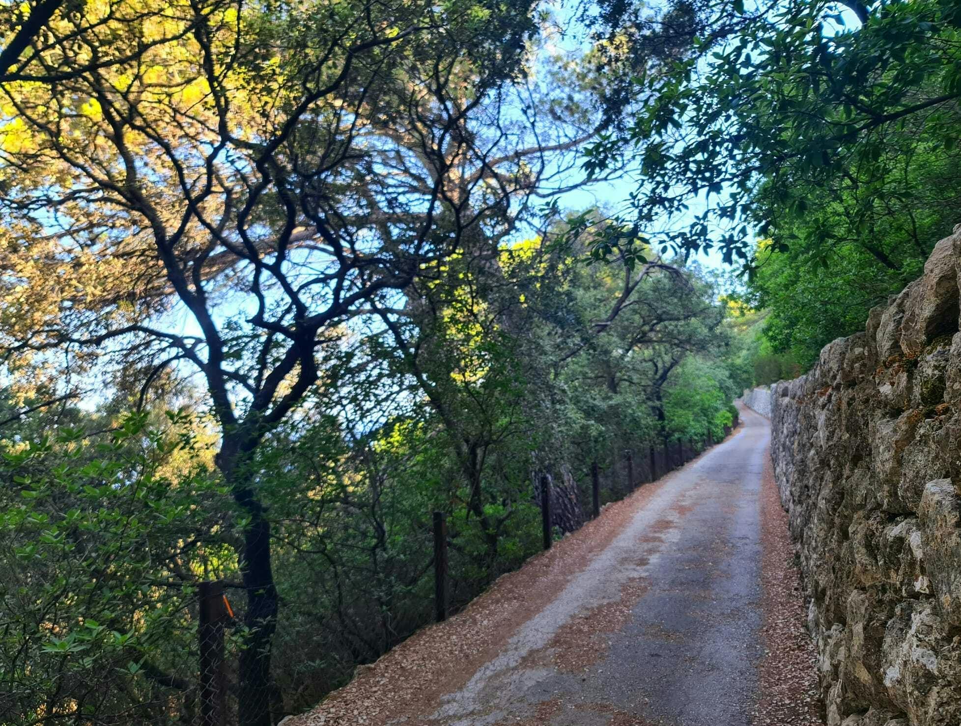 Bedebe Tours Tramuntana Hidden Places