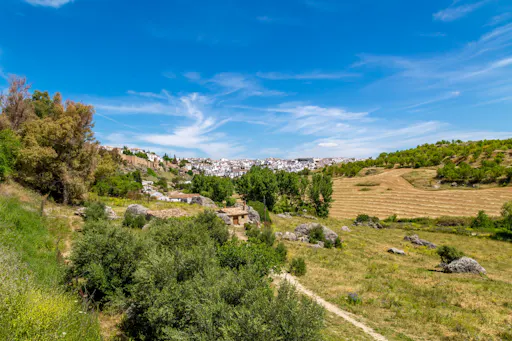 Ronda Visit by Bravo