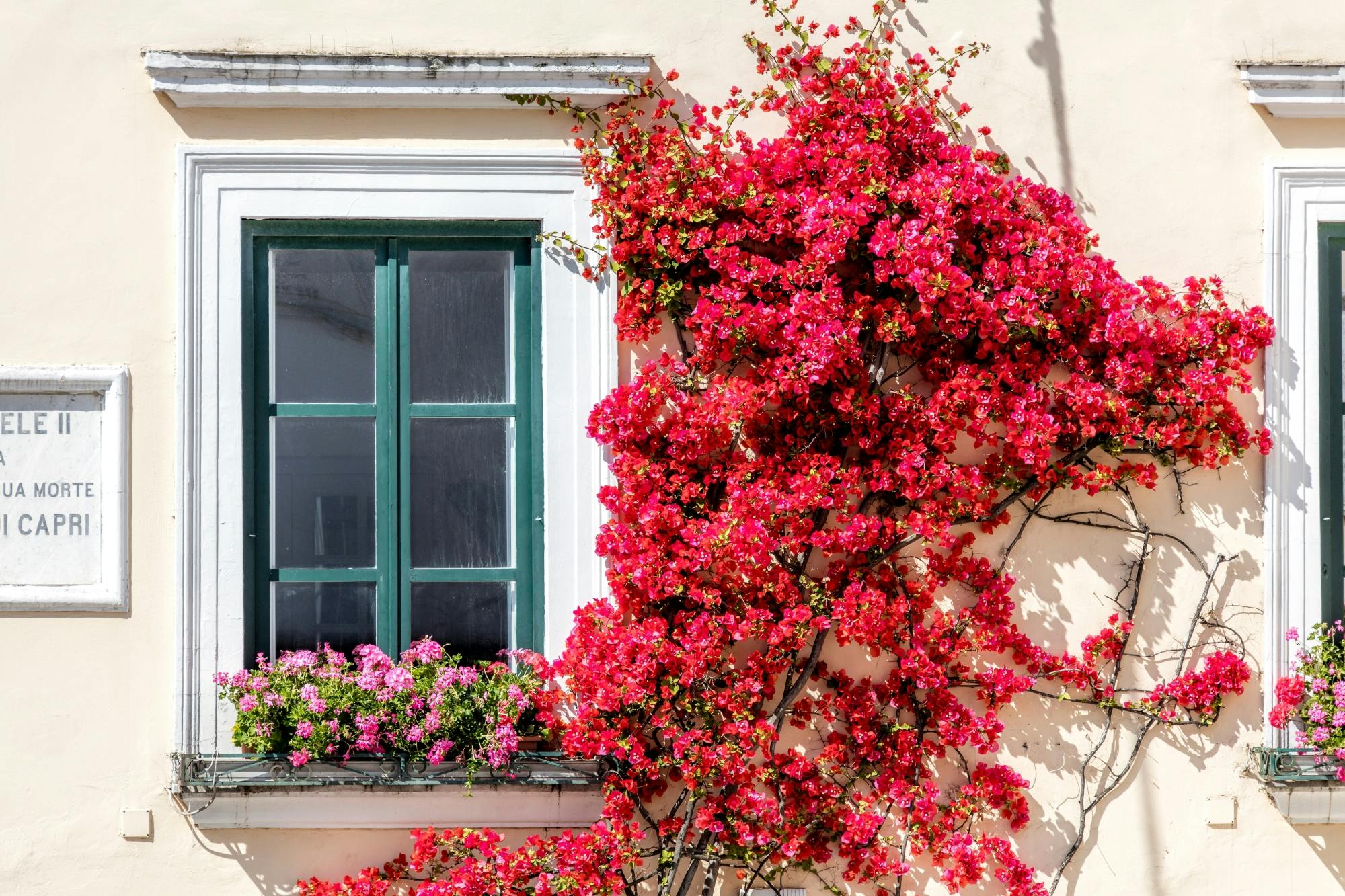 Capri Cruise from Positano