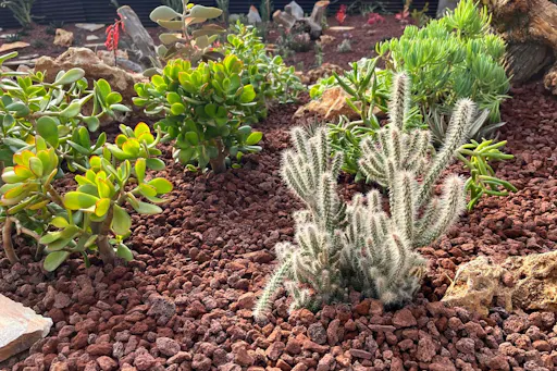 Organic farm visit with local lunch and trailer ride in Turkey