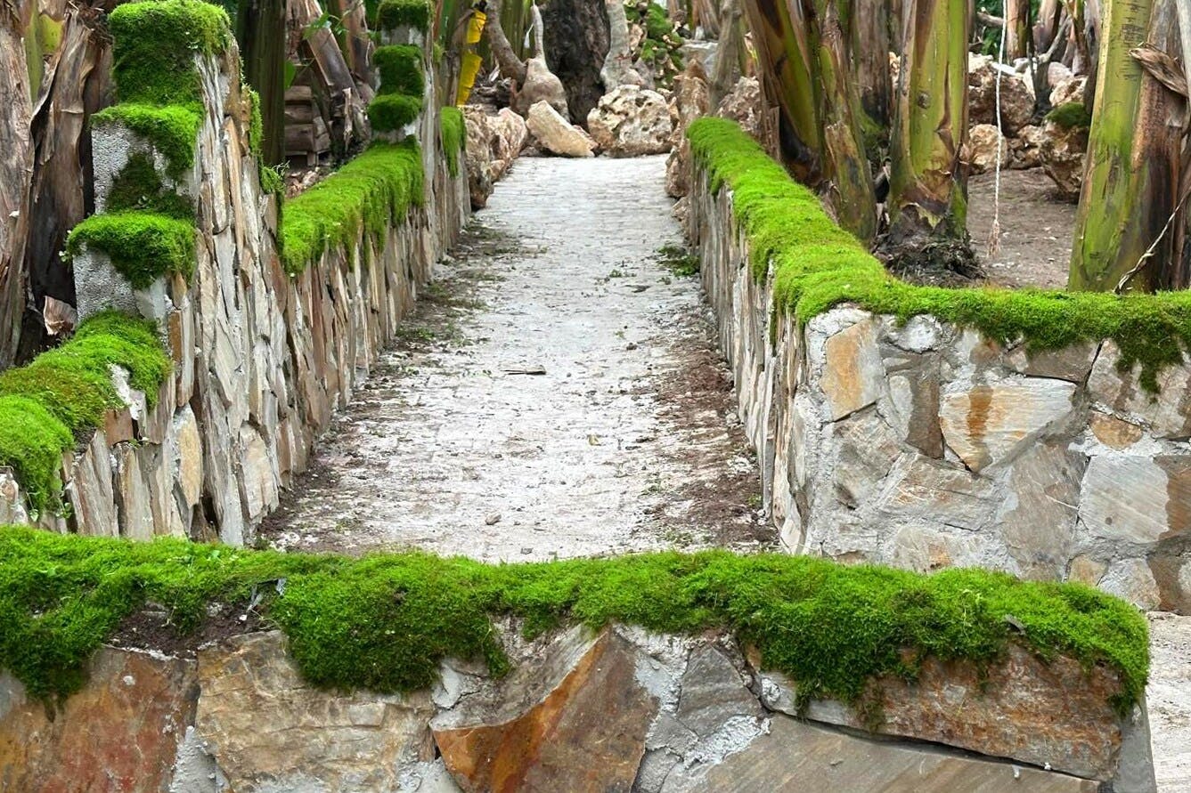 Organic farm visit with local lunch and trailer ride in Turkey