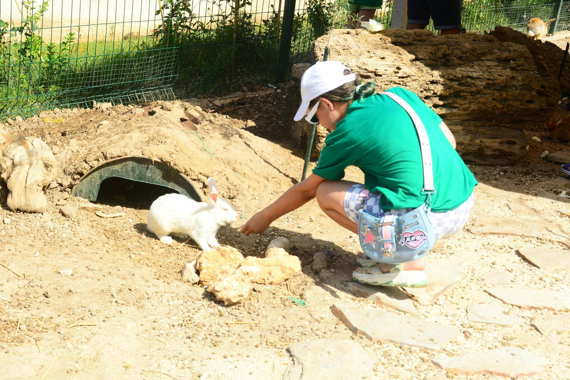 Organic farm visit with local lunch and trailer ride in Turkey