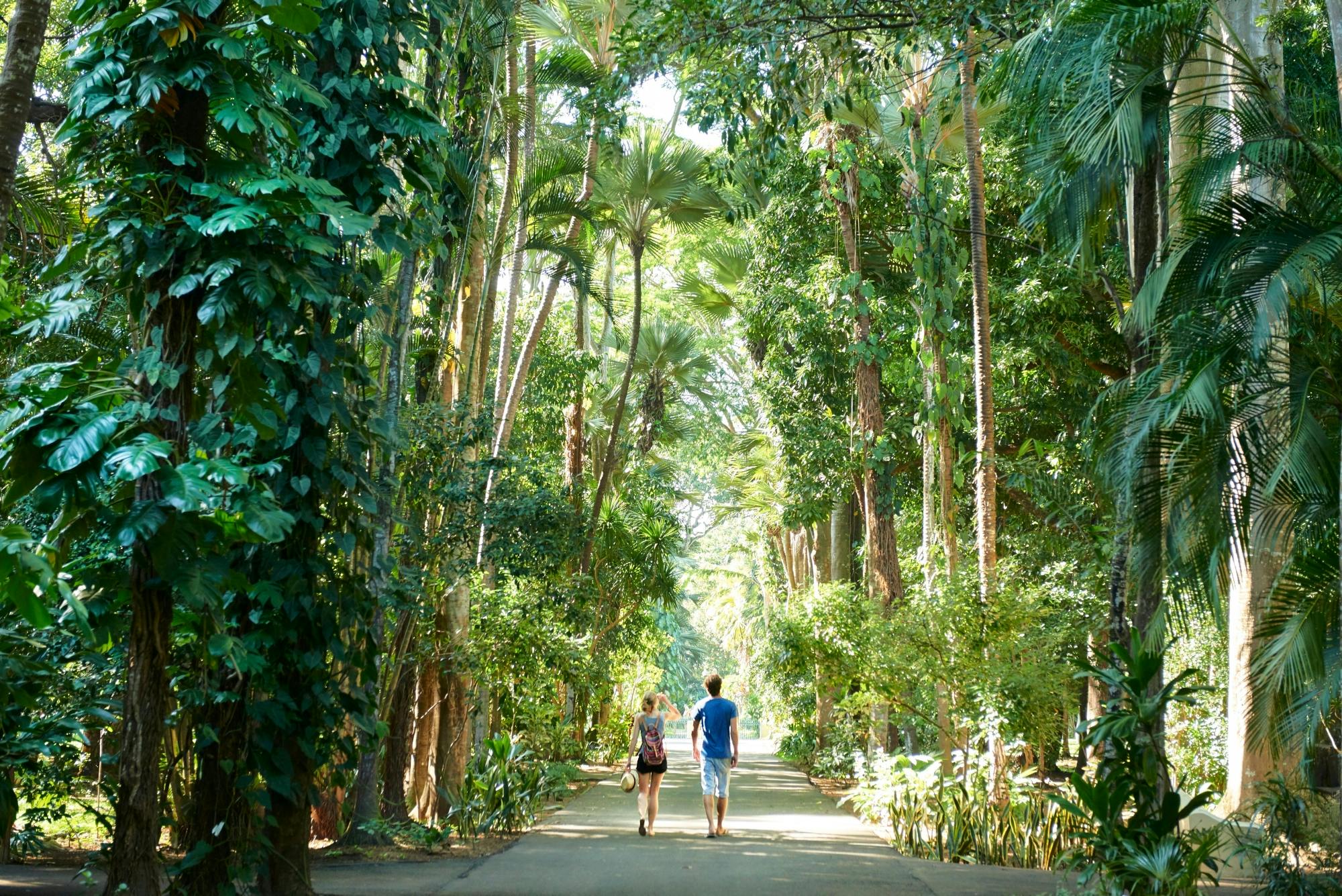 Tour degli artigiani locali di Mauritius con pranzo tradizionale