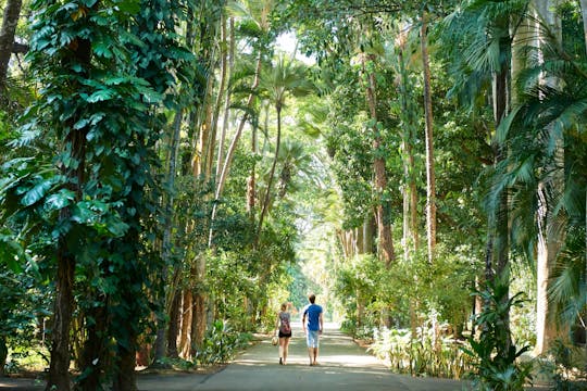 Tour degli artigiani locali di Mauritius con pranzo tradizionale